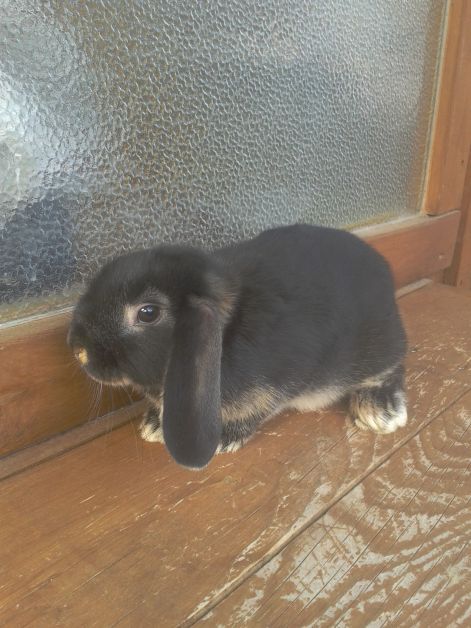 2013-03-11_14.20.06.jpg