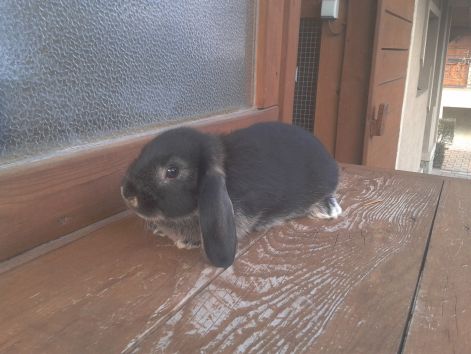 2013-03-11_14.20.56.jpg