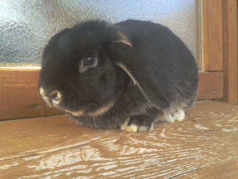 2013-03-11_14.25.43.jpg