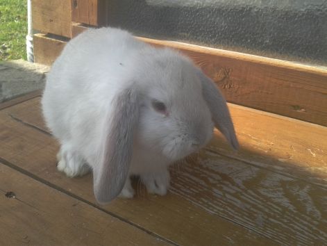 2013-03-11_14.44.13.jpg