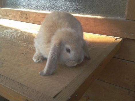 2013-03-11_14.46.37.jpg