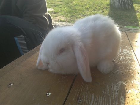 2013-03-11_14.49.28.jpg