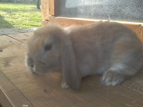 2013-03-11_14.50.45.jpg